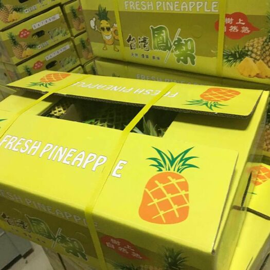 海口凤梨 海南凤梨