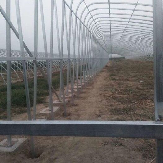天津连栋棚