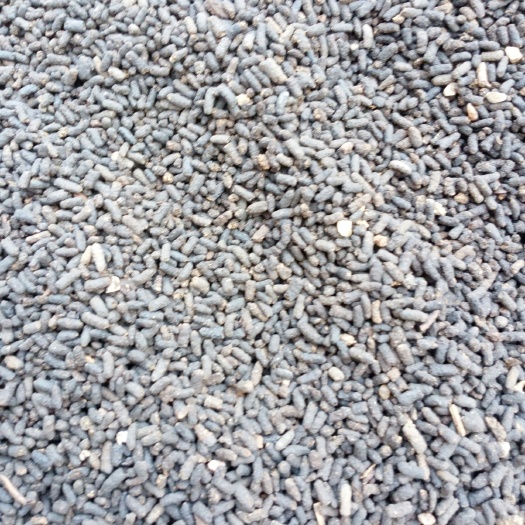 蛴螬 粪天然发酵颗粒花肥