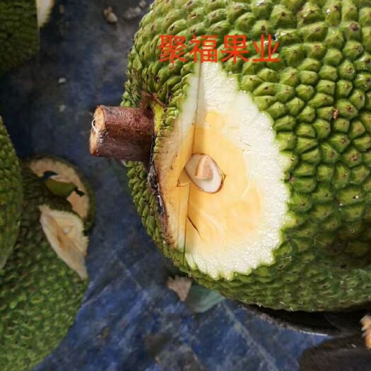 凭祥市越南菠萝蜜 10-15斤
