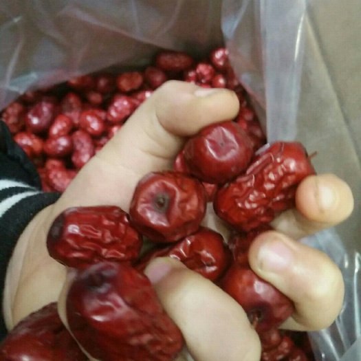 西宁若羌灰枣 特级