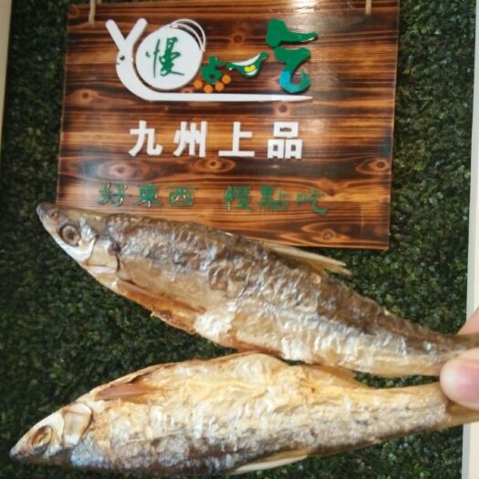 广州翘嘴白鱼干