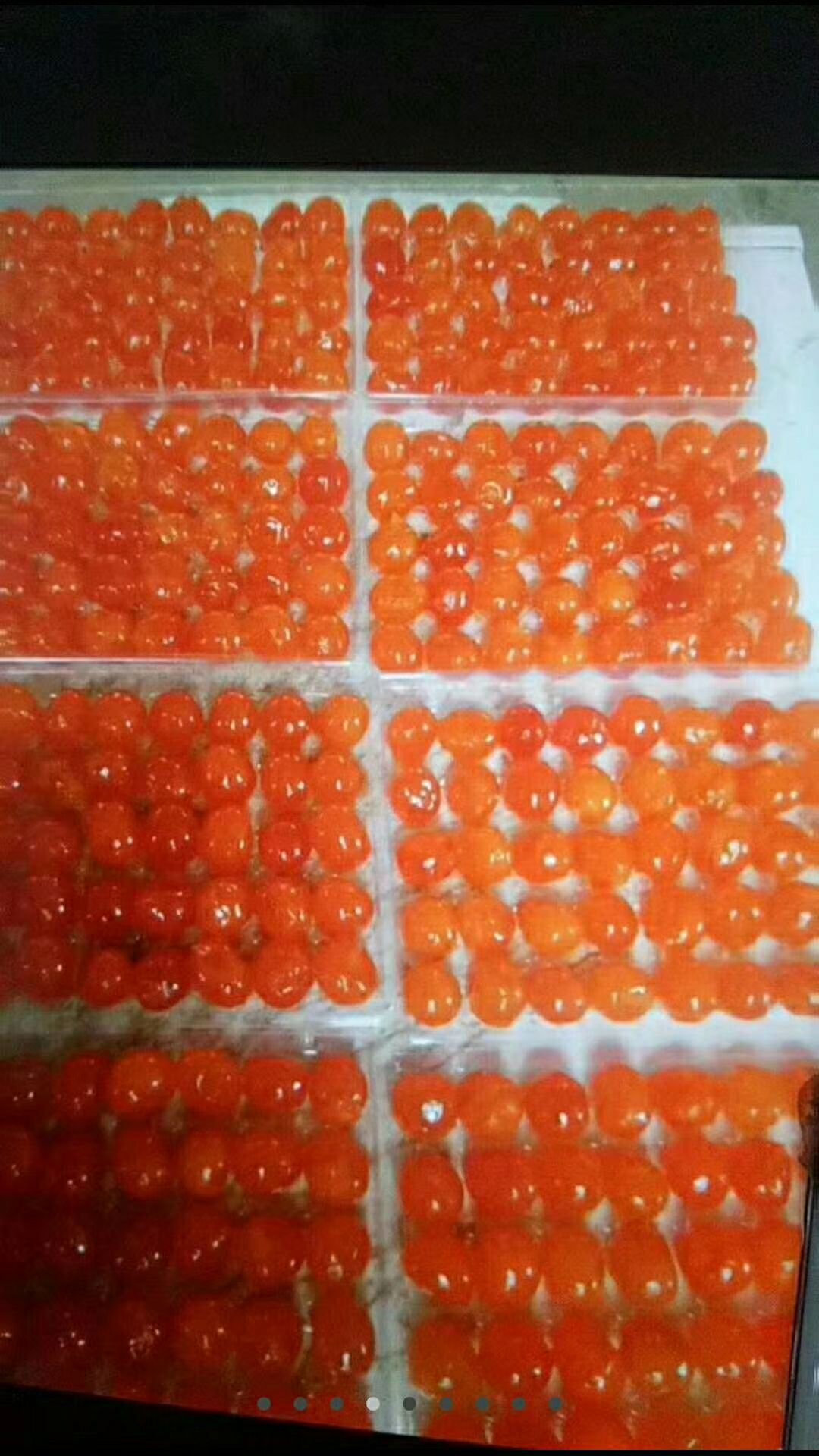 咸蛋黄饼 2-3个月