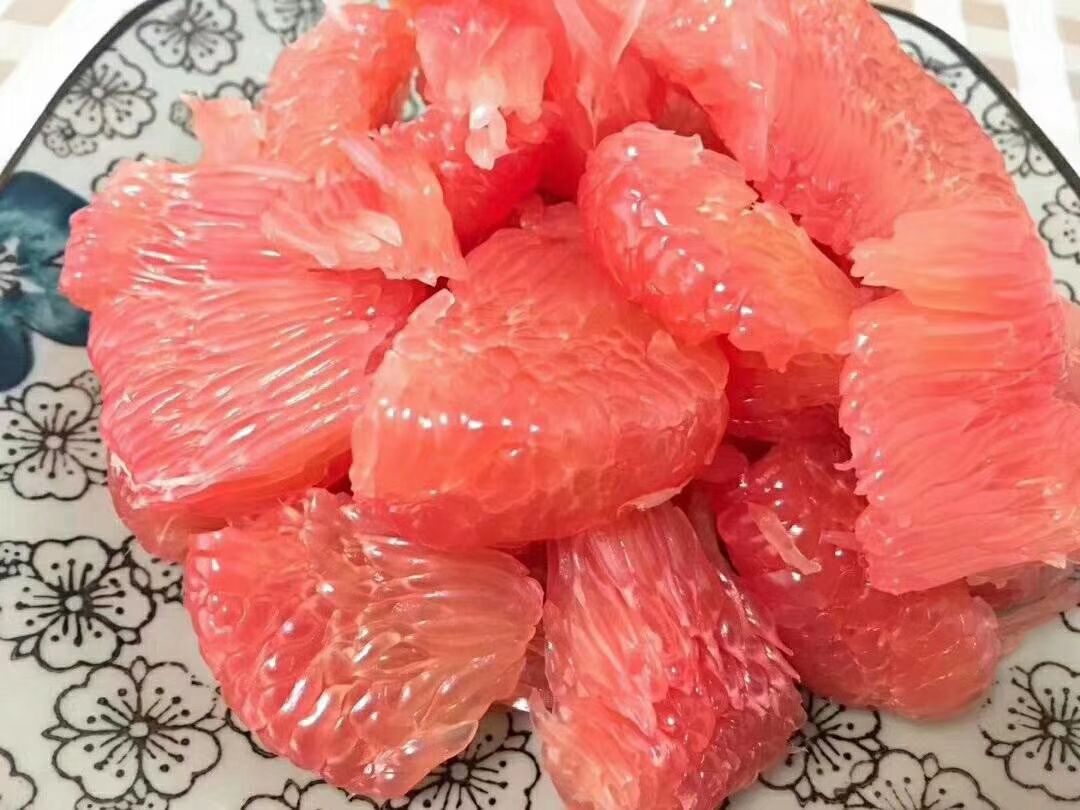  南北方地栽红心柚树苗现挖现发品质保证保湿发货