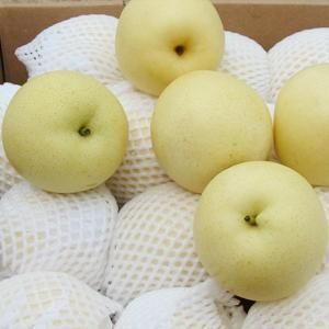 赵县皇冠梨 300-350g 75mm以上