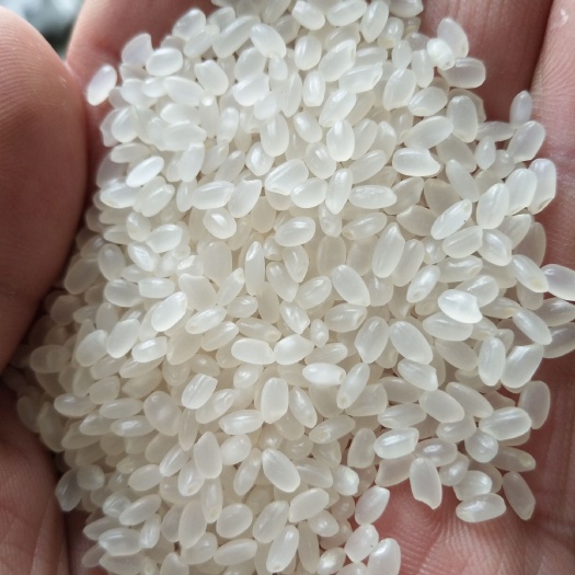 舒兰市舒兰大米 有机大米 晚稻 一等品