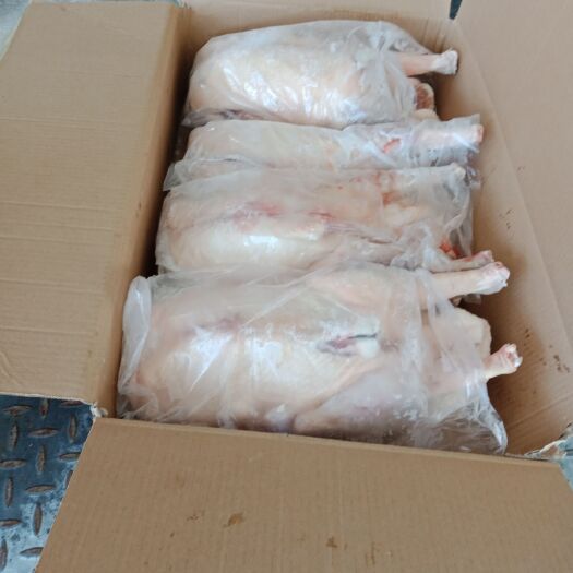 霍邱县朗德鹅肉 厂家直销