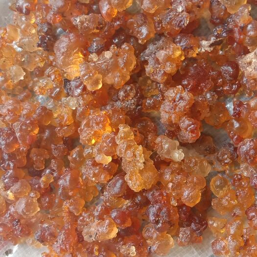 枣阳市食用桃胶 24个月以上