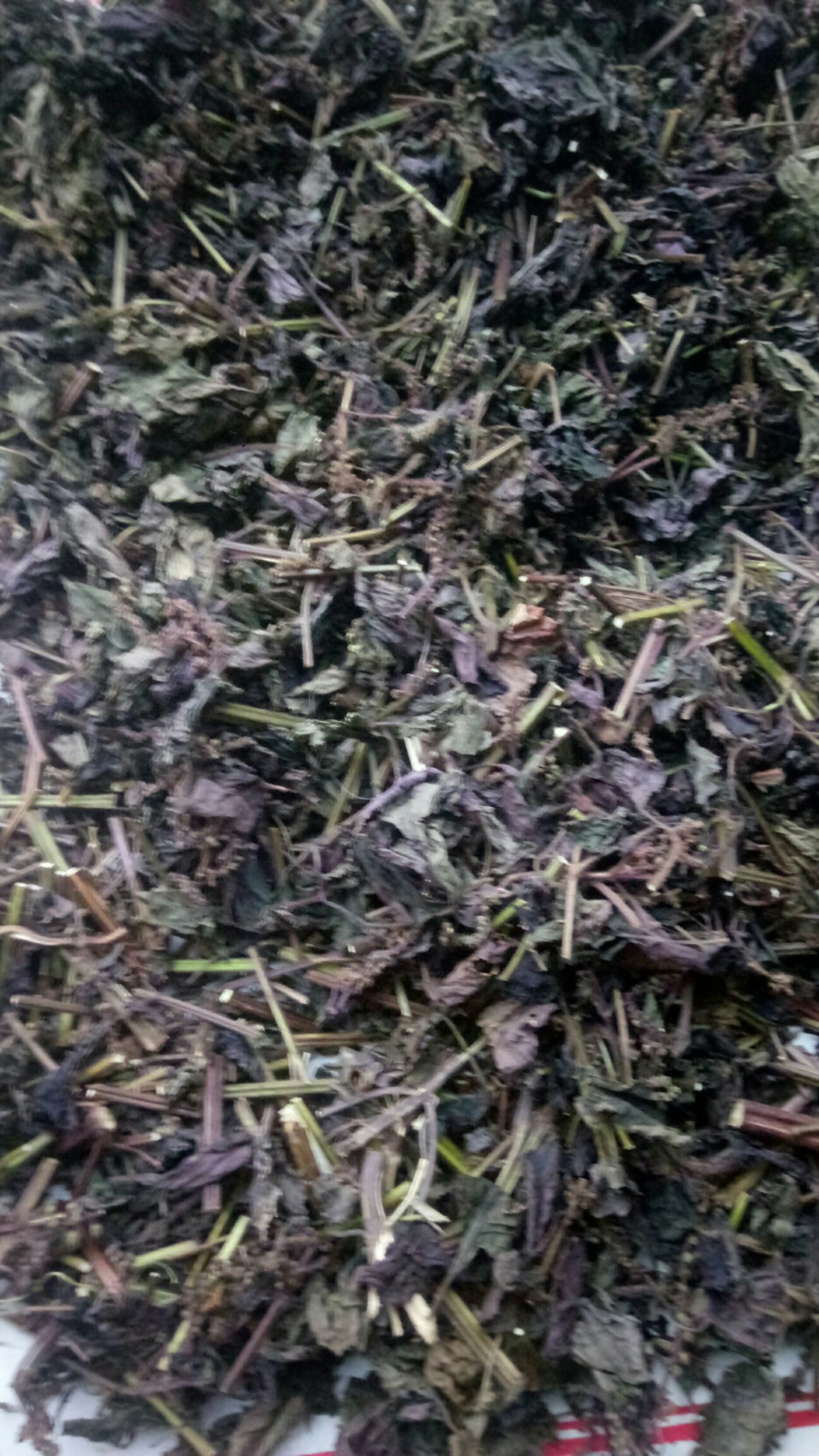 紫苏野生中药紫苏叶茎杆切椴晾晒干货调味去腥发汗解表药2斤包