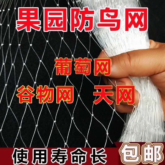 郯城县防虫网