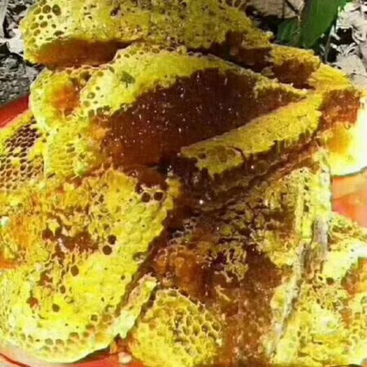 绥阳县土蜂蜜 玻璃瓶装  2年以上 