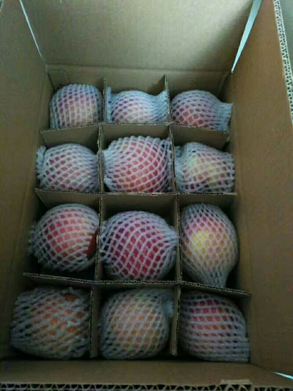 秦冠苹果 光果 片红 80mm以上