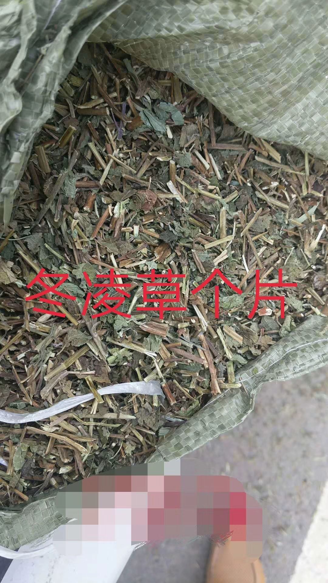 冬凌草