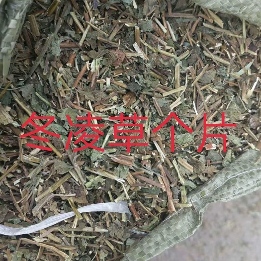 冬凌草