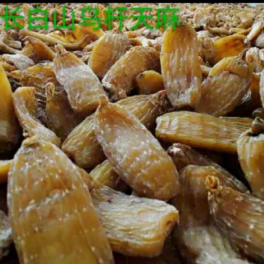 靖宇县天麻