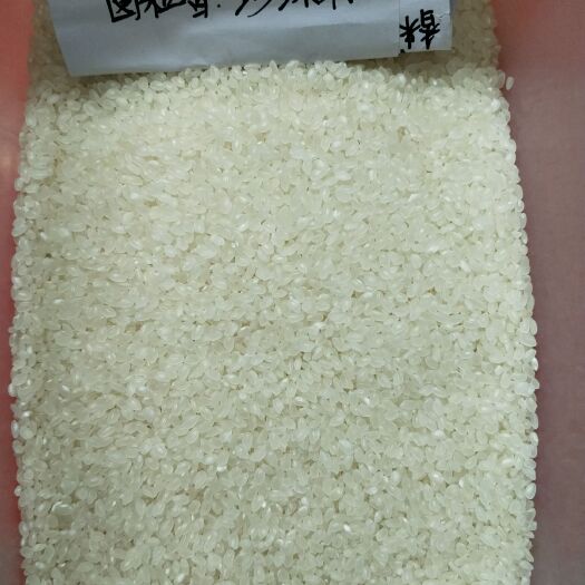广州珍珠米 非有机大米 中稻 一等品