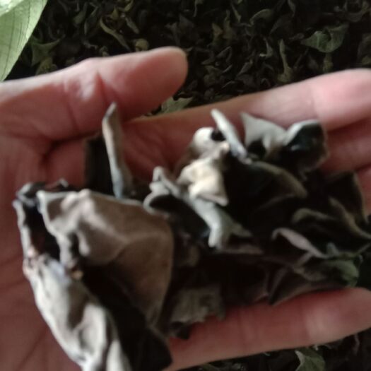 伊春东北黑木耳 干木耳 二级 