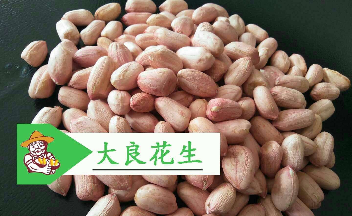花生种子