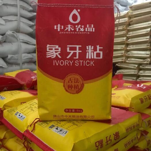 广州象牙香米 有机大米 晚稻 一等品