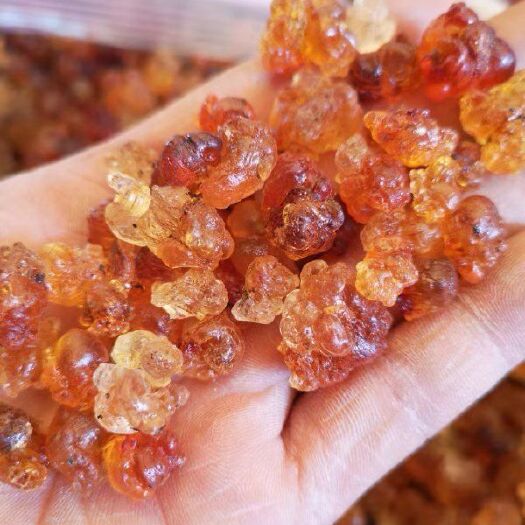 武汉食用桃胶 18-24个月 