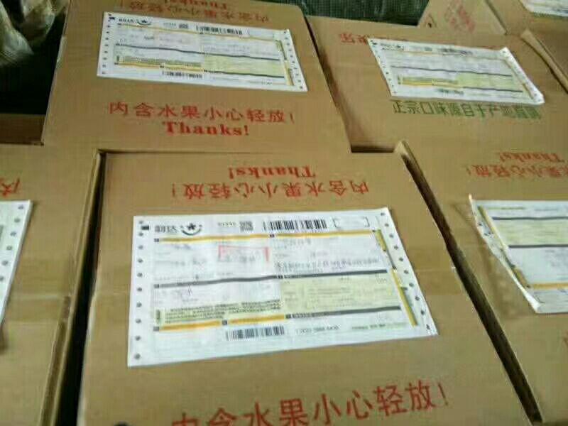 秦冠苹果 光果 片红 60mm以上