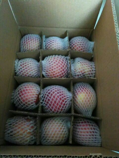 红富士苹果 膜袋 片红 70mm以上