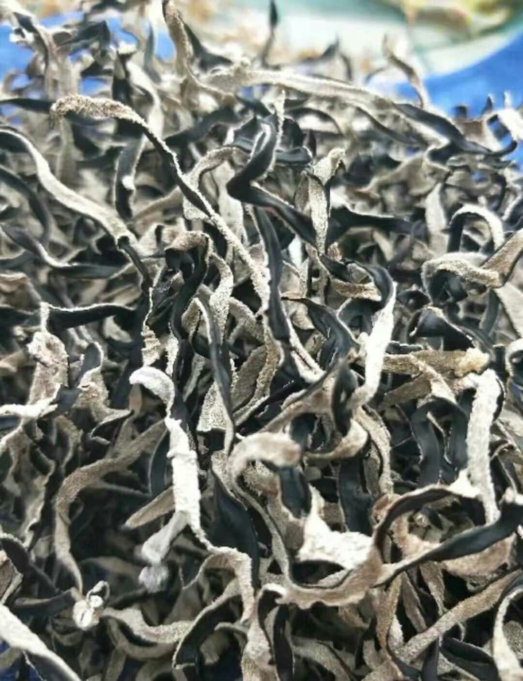 木耳丝 木耳丝批发 精品木耳丝 品质好 产地直发！包邮！