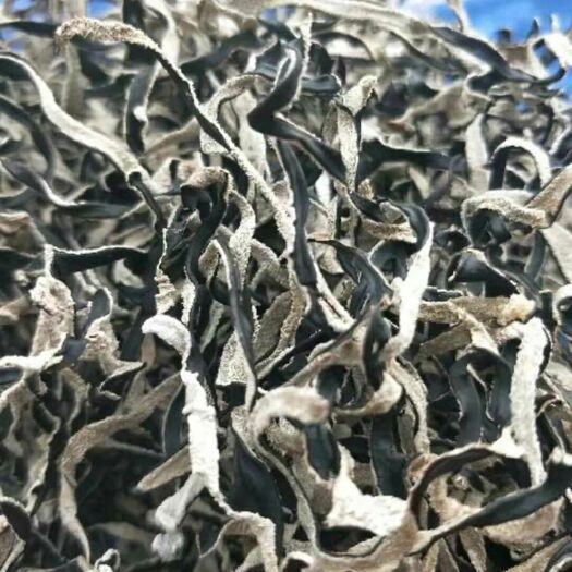 木耳丝  精品木耳丝  品质好  产地直发！！ 包邮！