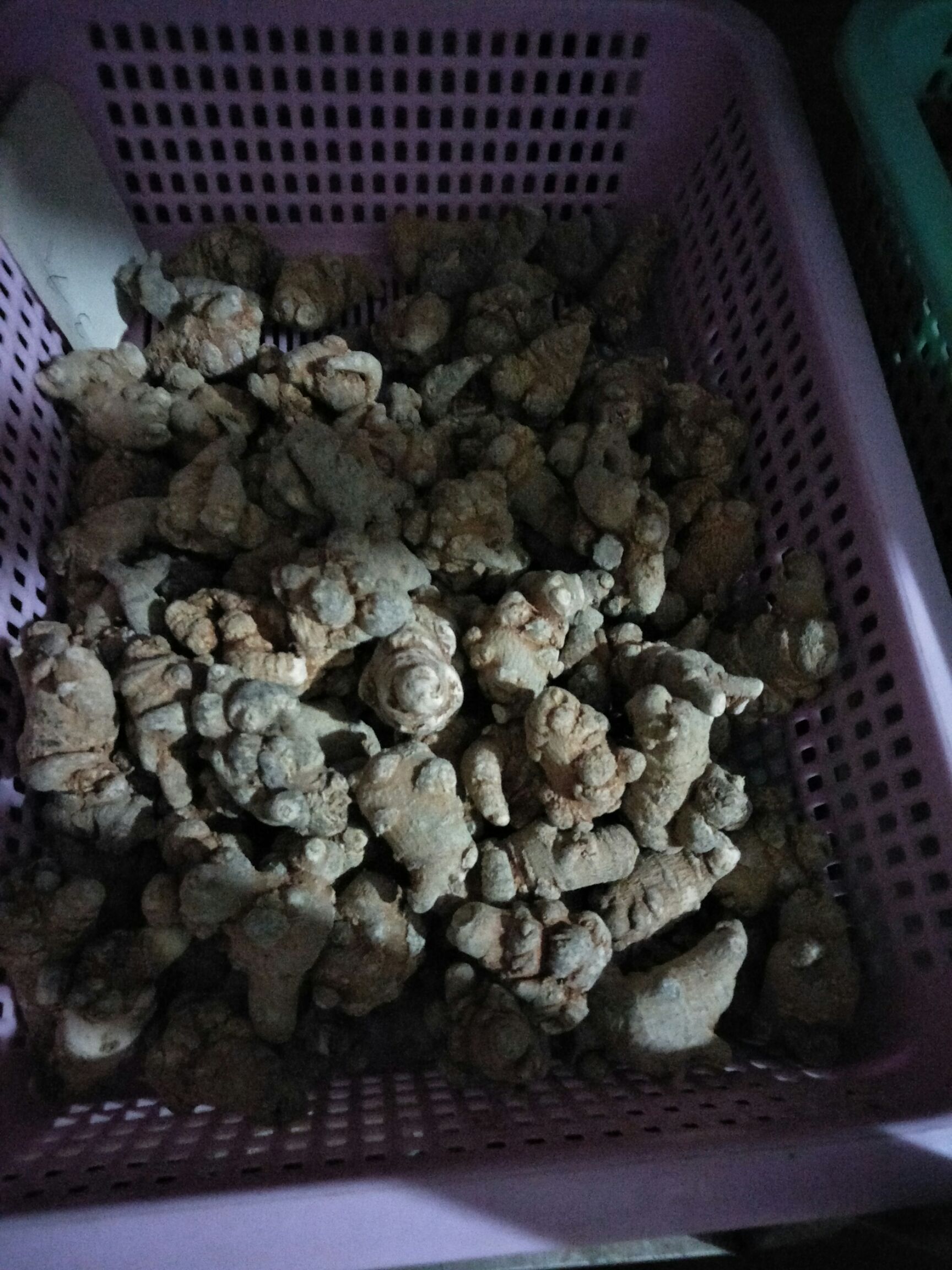 三七