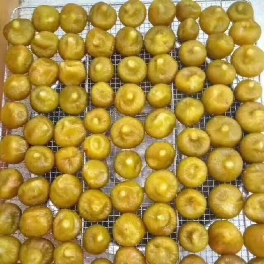 威海无花果干