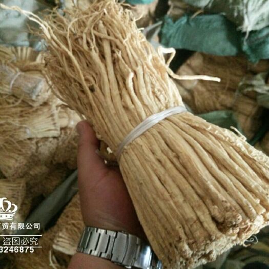 陇西县白条党参 