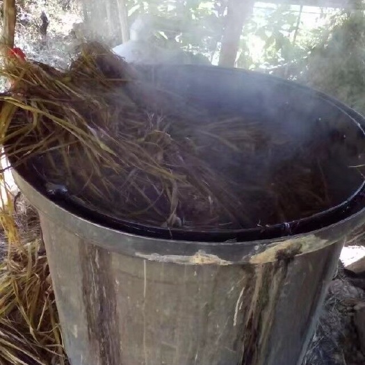 金平县香茅草 