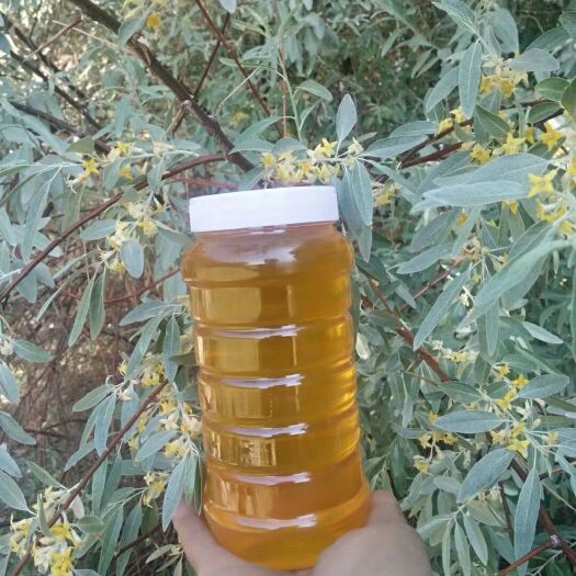 阿勒泰市百花蜜 沙枣蜜有“花香百里”的美称。沙枣蜜新蜜呈琥珀色，质地浓稠，