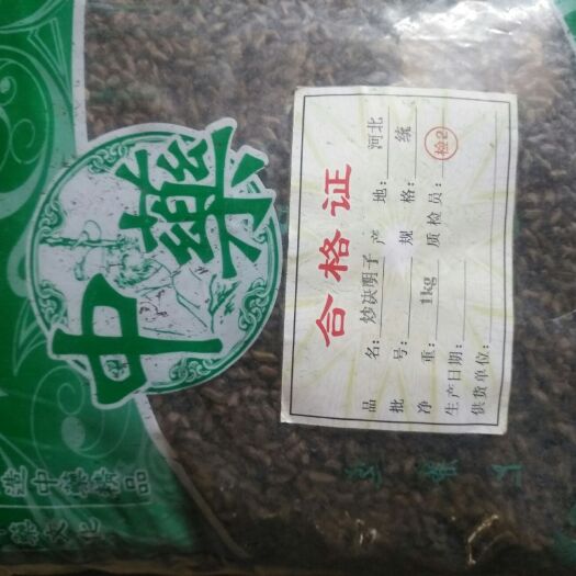 安国市决明子