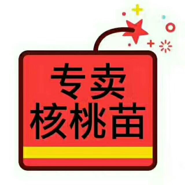 薄皮核桃苗