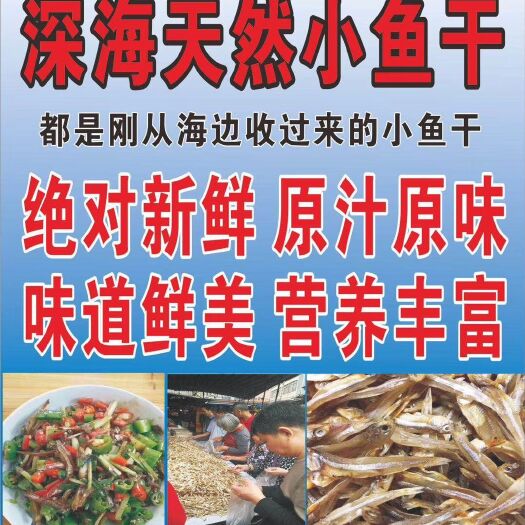 广州小鱼干 