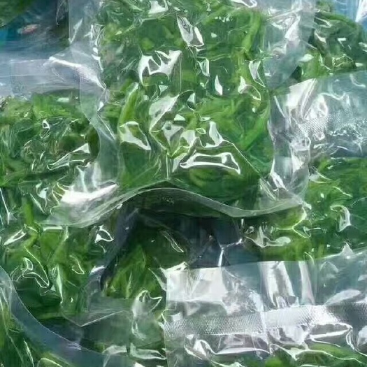 江门速冻桑叶菜 桑叶
