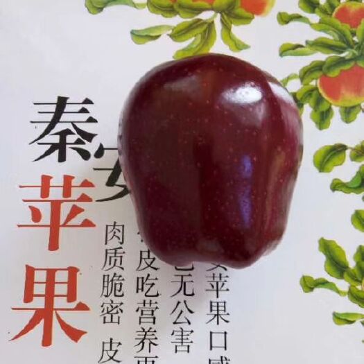 秦安县红蛇果 200-300克