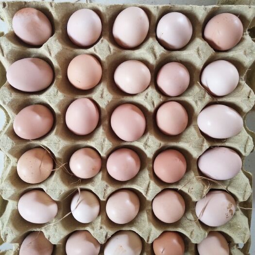 铜陵散养土鸡蛋初生蛋，一斤15个左右