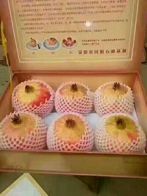 荥阳市 正宗的河阴石榴