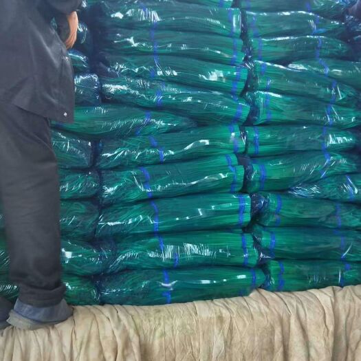 金乡县金乡红帽蒜苔 一茬 70cm以上 精品