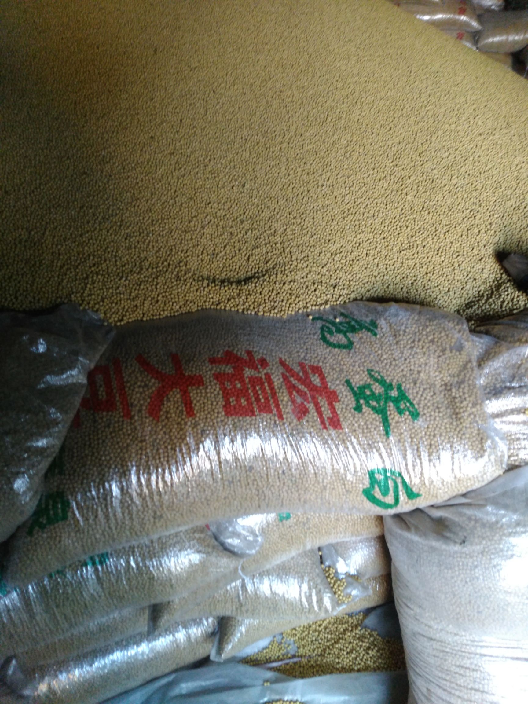 黑龙江大豆 生大豆 1等品