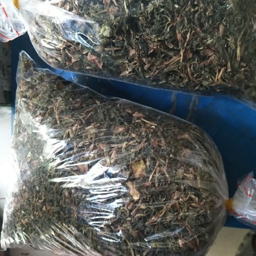苍溪县宽叶费菜 袋装 