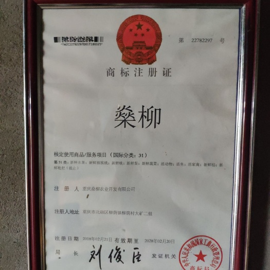 重庆市土鸡 母 4-5斤 
