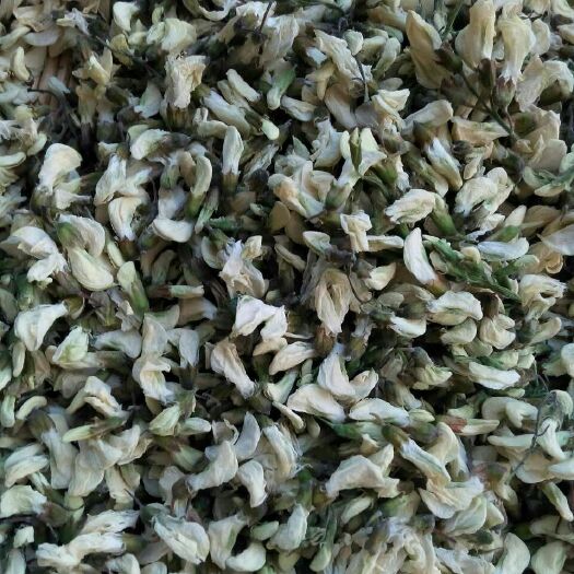 郑州槐花  干洋，质量好，价格便宜，包邮