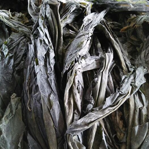  霞浦海帶日曬無沙掛菜產(chǎn)地直供支持一件代發(fā)