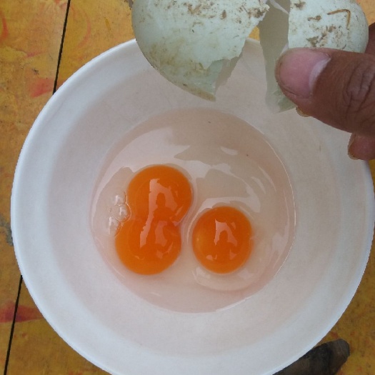 随县土鸭蛋 食用 箱装 