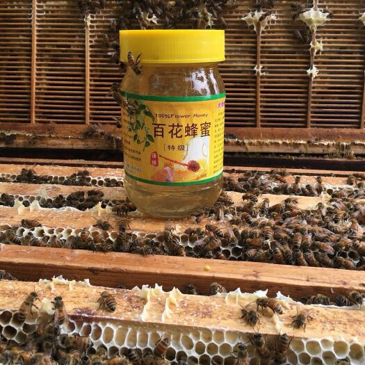 镇江百花蜜 玻璃瓶装  2年以上