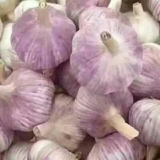 金乡大蒜 混级统货