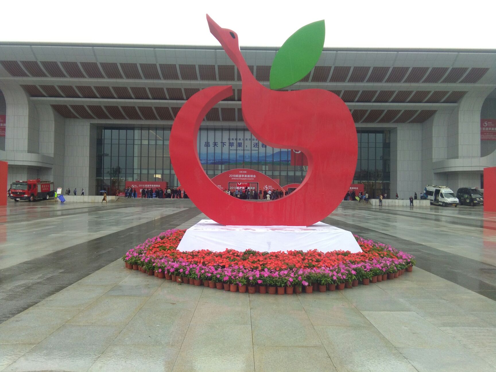 冰糖心苹果 光果 片红 精选果